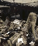 Filename=343.jpg
Filesize=607KiB
Dimensions=3000x1993
Date added=Oct 26, 2010 343.jpg