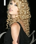 Filename=taylorw22.jpg
Filesize=38KiB
Dimensions=440x707
Date added=Aug 15, 2007 taylorw22.jpg