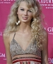 taylorweb37.jpg