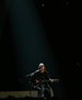 taylorweb057.jpg
