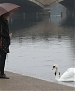 Filename=111.jpg
Filesize=1028KiB
Dimensions=3040x2027
Date added=Jan 25, 2012 111.jpg