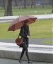 Filename=117.jpg
Filesize=736KiB
Dimensions=1860x2790
Date added=Jan 25, 2012 117.jpg