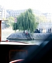 Filename=137.jpg
Filesize=37KiB
Dimensions=450x300
Date added=Oct 02, 2012 137.jpg