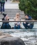 Filename=054.jpg
Filesize=1472KiB
Dimensions=2073x3000
Date added=Dec 02, 2012 054.jpg