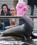 Filename=114.jpg
Filesize=839KiB
Dimensions=3000x2253
Date added=Dec 03, 2012 114.jpg