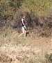Filename=157.jpg
Filesize=660KiB
Dimensions=619x739
Date added=Mar 31, 2015 157.jpg