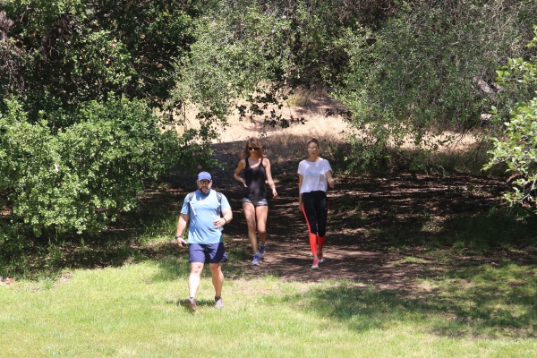 518.jpg