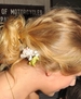 Filename=hqtaylorweb000_(18).jpg
Filesize=318KiB
Dimensions=1792x1400
Date added=Aug 24, 2009 hqtaylorweb000_(18).jpg