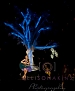 Filename=387.jpg
Filesize=253KiB
Dimensions=817x1024
Date added=Sep 24, 2011 387.jpg