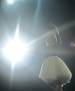 Filename=114.JPG
Filesize=2340KiB
Dimensions=4608x3456
Date added=Dec 10, 2013 114.JPG
