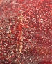 Filename=222.JPG
Filesize=5258KiB
Dimensions=4000x3000
Date added=Mar 26, 2013 222.JPG