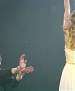 Filename=203.JPG
Filesize=2026KiB
Dimensions=3648x2736
Date added=Apr 17, 2013 203.JPG