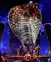 Filename=048.jpg
Filesize=1814KiB
Dimensions=3177x3971
Date added=Jul 23, 2018 048.jpg