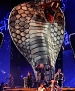 Filename=049.jpg
Filesize=1528KiB
Dimensions=2740x4105
Date added=Jul 23, 2018 049.jpg