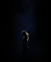 Filename=056.jpg
Filesize=131KiB
Dimensions=2667x3999
Date added=Aug 25, 2023 056.jpg