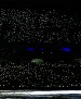 Filename=008.jpg
Filesize=3090KiB
Dimensions=3420x2281
Date added=Nov 18, 2023 008.jpg