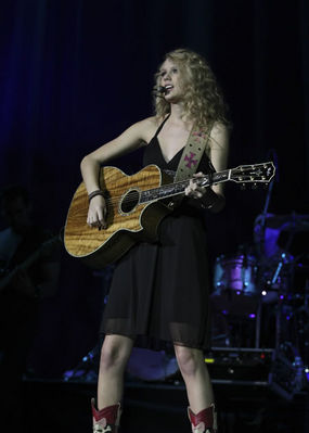 taylorweb027.jpg
