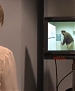 Filename=501.jpg
Filesize=86KiB
Dimensions=555x312
Date added=Dec 20, 2011 501.jpg