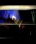 Filename=219.jpg
Filesize=63KiB
Dimensions=480x360
Date added=May 15, 2011 219.jpg