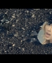 Filename=074.jpg
Filesize=937KiB
Dimensions=1920x1080
Date added=May 06, 2013 074.jpg