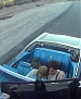 Filename=186.jpg
Filesize=480KiB
Dimensions=1280x720
Date added=Feb 02, 2013 186.jpg