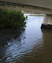 Filename=023.jpg
Filesize=217KiB
Dimensions=768x1024
Date added=Feb 23, 2010 023.jpg
