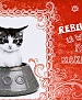 Filename=003.jpg
Filesize=91KiB
Dimensions=414x318
Date added=Jan 27, 2010 003.jpg