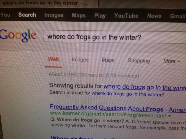 "It feels like one of those nights... I google nature-related questions."
