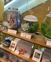 Filename=159.jpg
Filesize=600KiB
Dimensions=2048x1536
Date added=Dec 10, 2019 159.jpg