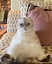 Filename=196.jpg
Filesize=721KiB
Dimensions=2048x2000
Date added=May 24, 2020 196.jpg