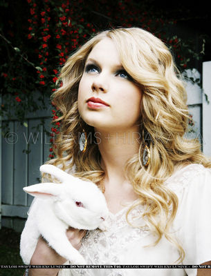 taylorweb030.jpg