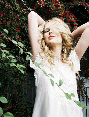 taylorweb057.jpg