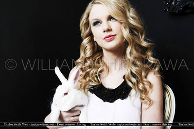 taylorweb0118.jpg