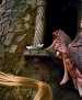 Filename=002.jpg
Filesize=104KiB
Dimensions=3300x2200
Date added=Jan 23, 2013 002.jpg