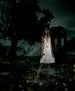 taylorweb_mkv_000251459.jpg