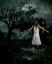 Filename=taylorweb_mkv_000256089.jpg
Filesize=267KiB
Dimensions=1024x684
Date added=Oct 15, 2009 taylorweb_mkv_000256089.jpg