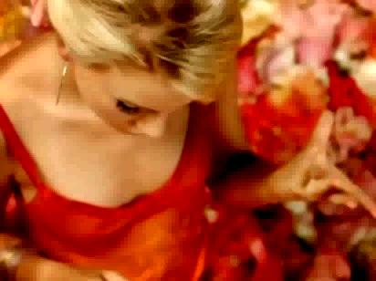 taylorweb_097.JPG