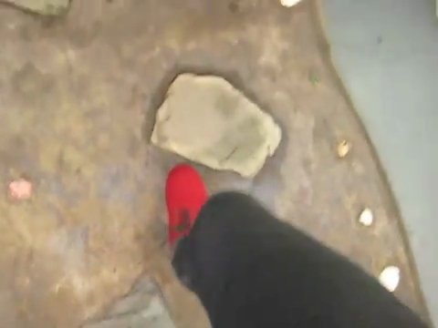268.jpg
