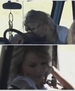 Filename=taylorweb_132.JPG
Filesize=12KiB
Dimensions=432x244
Date added=Jan 28, 2009 taylorweb_132.JPG