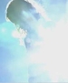 Filename=taylorweb_139.JPG
Filesize=6KiB
Dimensions=432x244
Date added=Jan 28, 2009 taylorweb_139.JPG