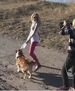 Filename=taylorweb_167.JPG
Filesize=22KiB
Dimensions=432x244
Date added=Jan 28, 2009 taylorweb_167.JPG