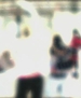Filename=taylorweb0054.JPG
Filesize=13KiB
Dimensions=512x384
Date added=Jun 04, 2009 taylorweb0054.JPG