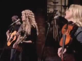 taylorweb_085.JPG