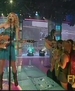 Filename=taylorweb_030.JPG
Filesize=48KiB
Dimensions=720x540
Date added=Jul 09, 2008 taylorweb_030.JPG