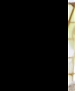 Filename=002.jpg
Filesize=66KiB
Dimensions=1920x1080
Date added=Feb 10, 2015 002.jpg