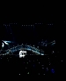 0693.jpg