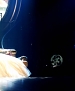 Filename=2942.jpg
Filesize=156KiB
Dimensions=854x480
Date added=Dec 06, 2011 2942.jpg