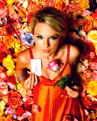 taylorweb024.jpg